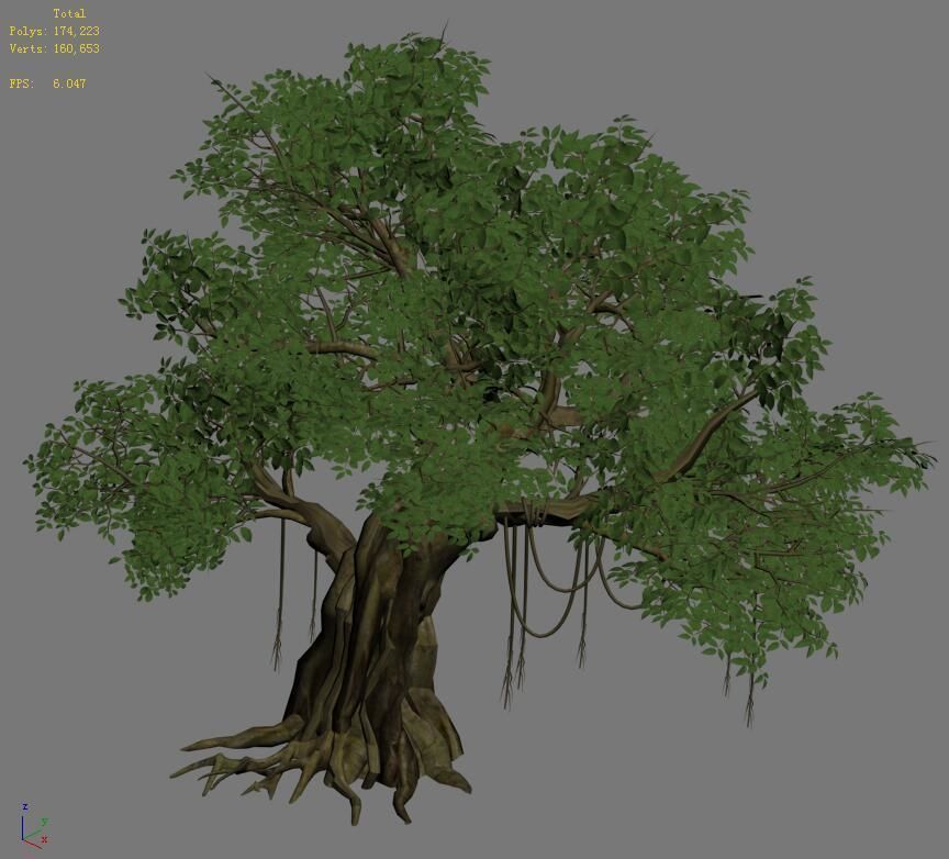 Plant - banyan tree 01 3D model_4