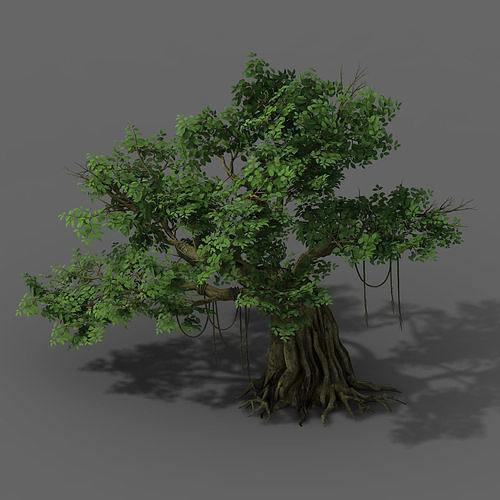 Plant - banyan tree 02 3D model