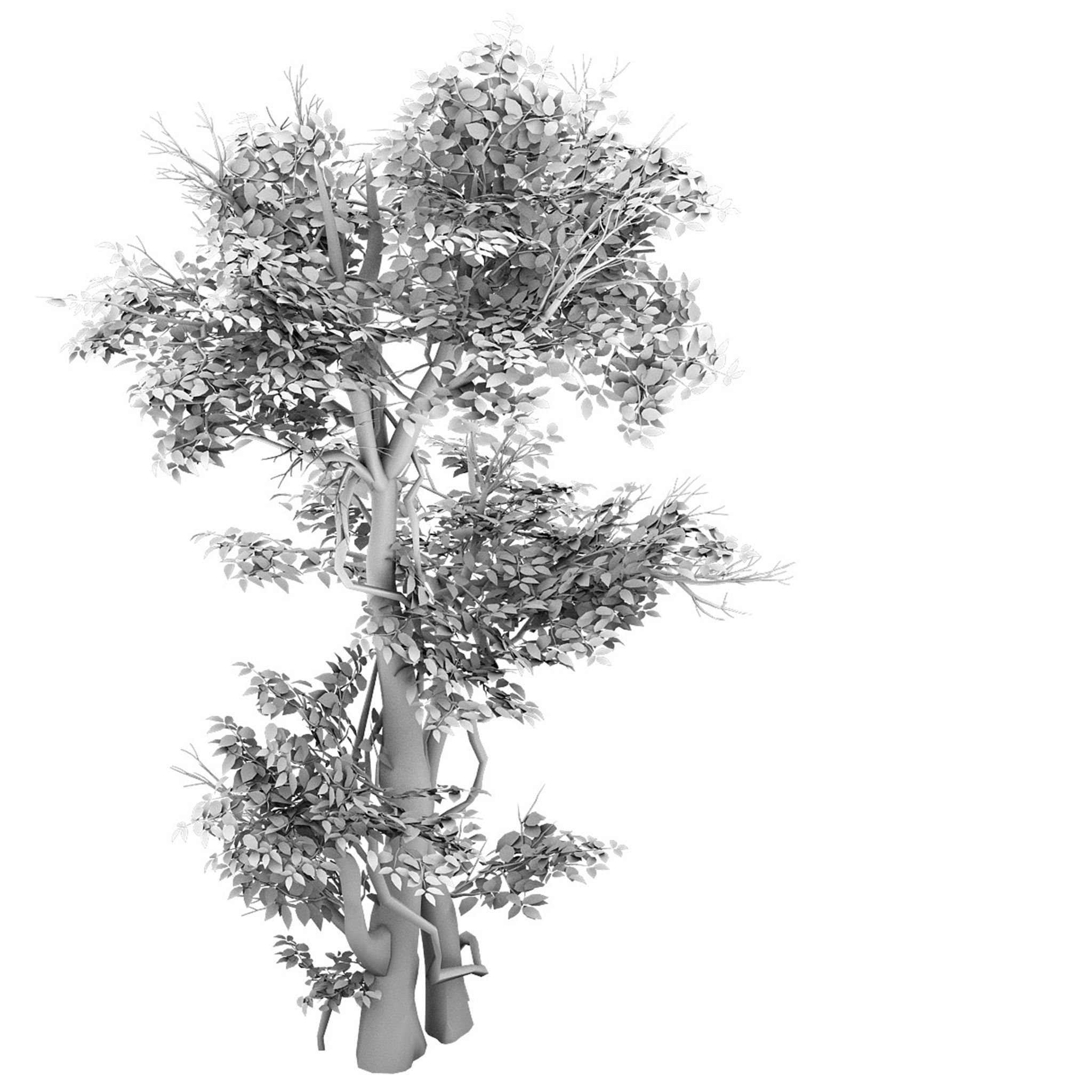 Plant - banyan tree 03 3D model_2