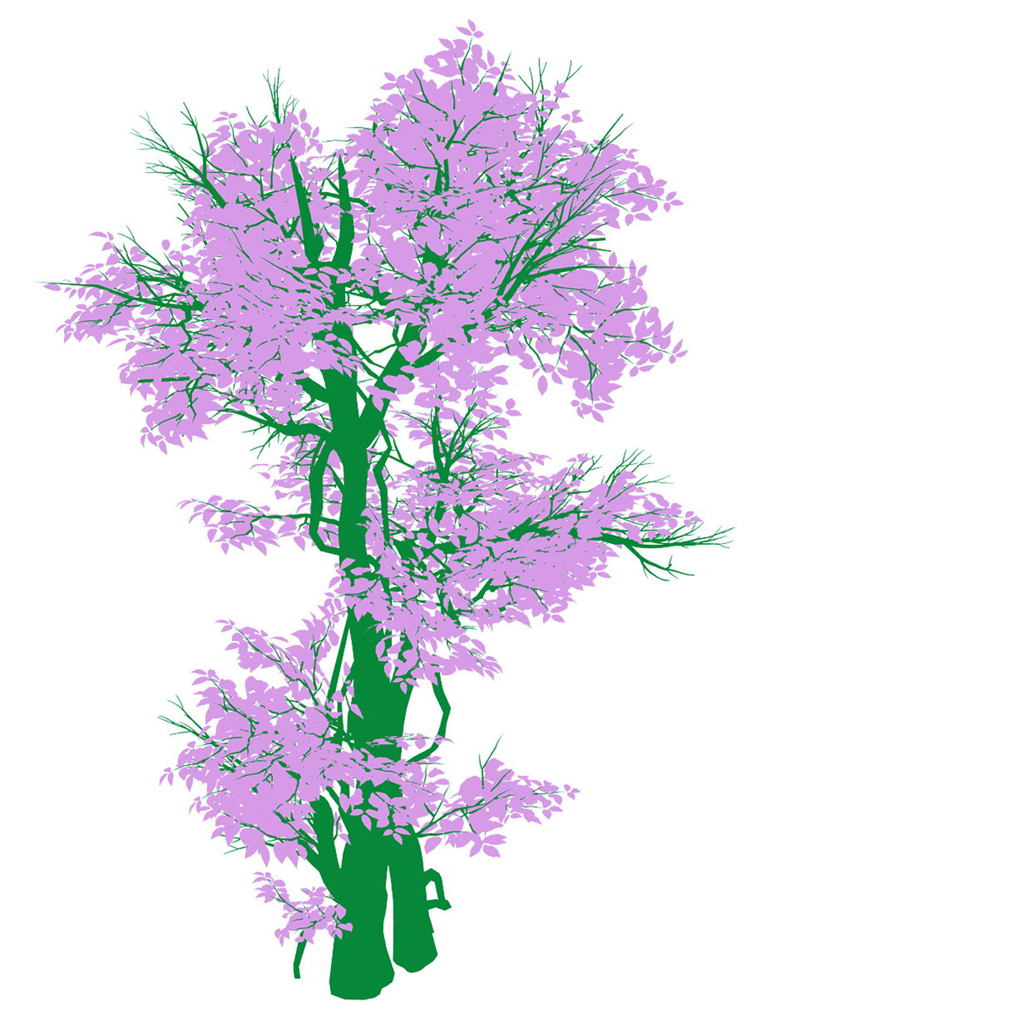 Plant - banyan tree 03 3D model_3