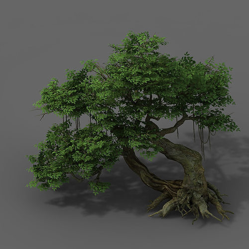 Plant - banyan tree 04 3D model