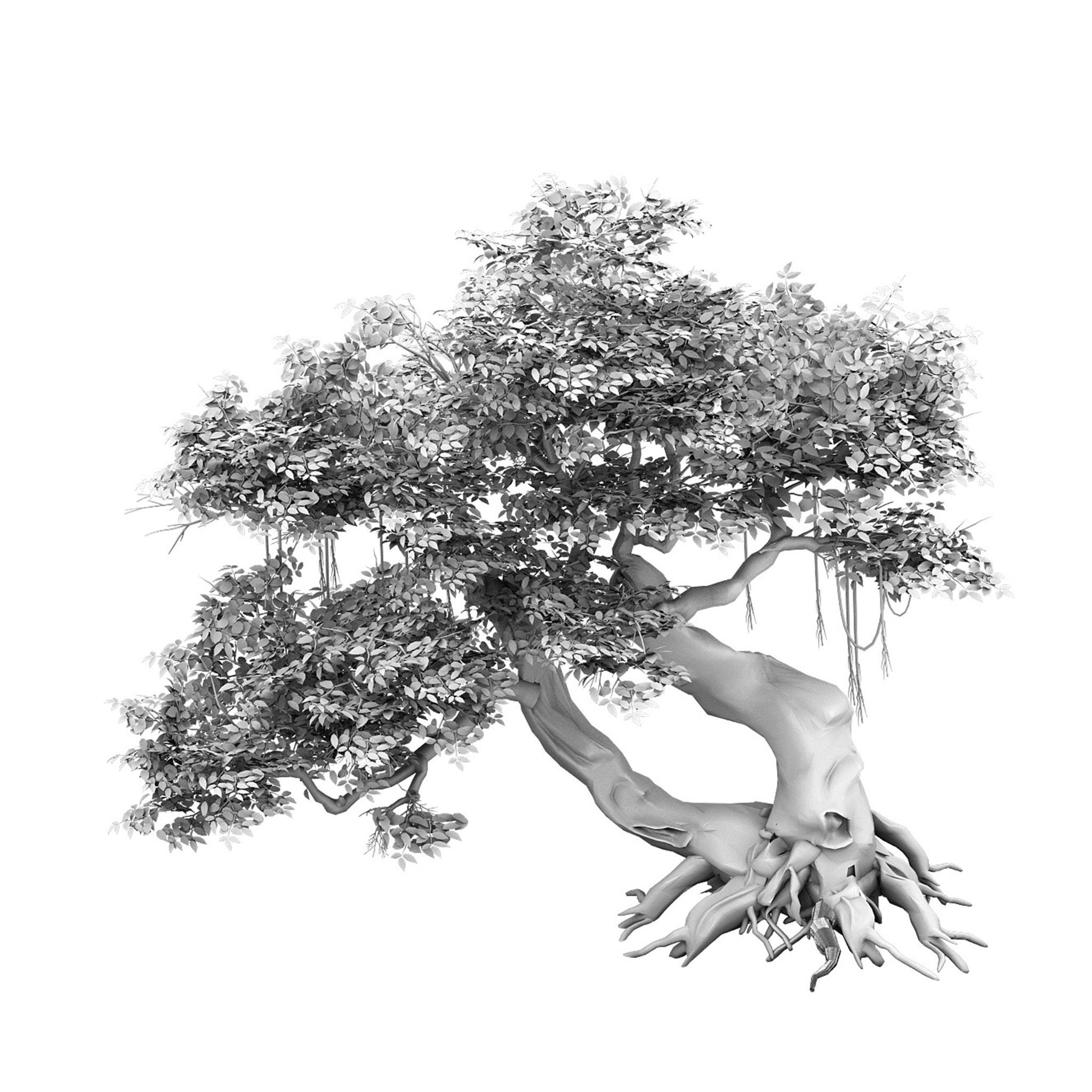 Plant - banyan tree 04 3D model_2