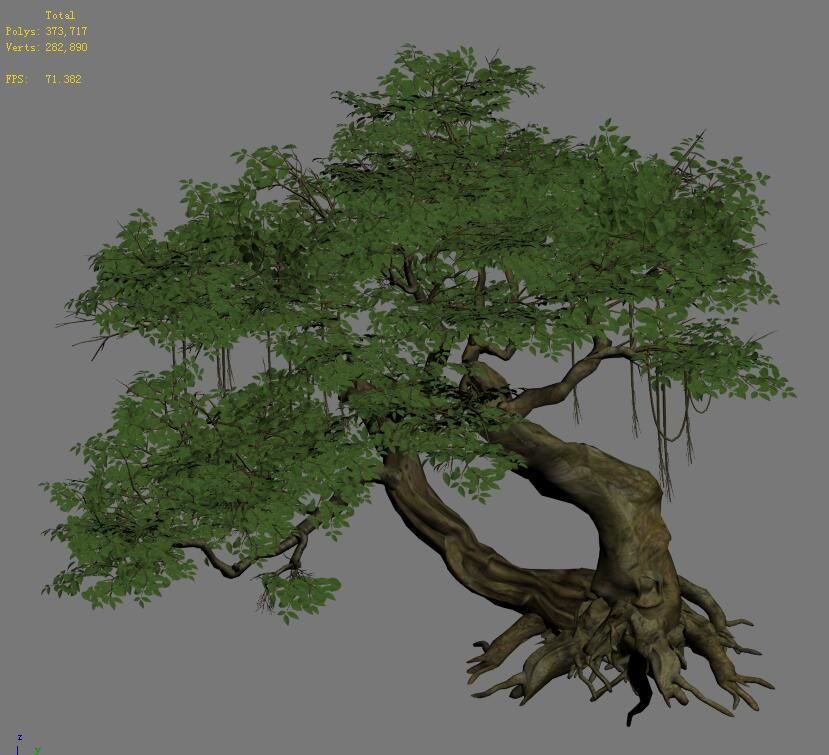 Plant - banyan tree 04 3D model_5