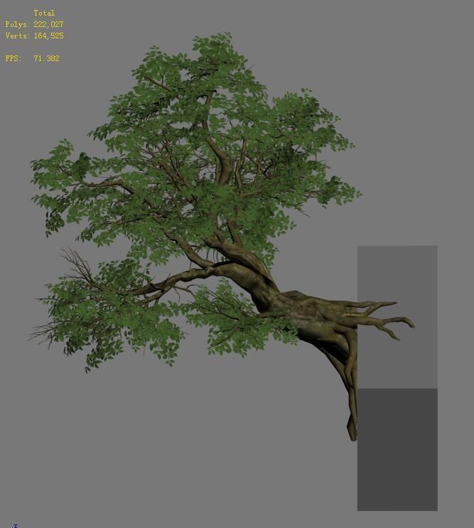 Plant - banyan tree 05 3D model_4