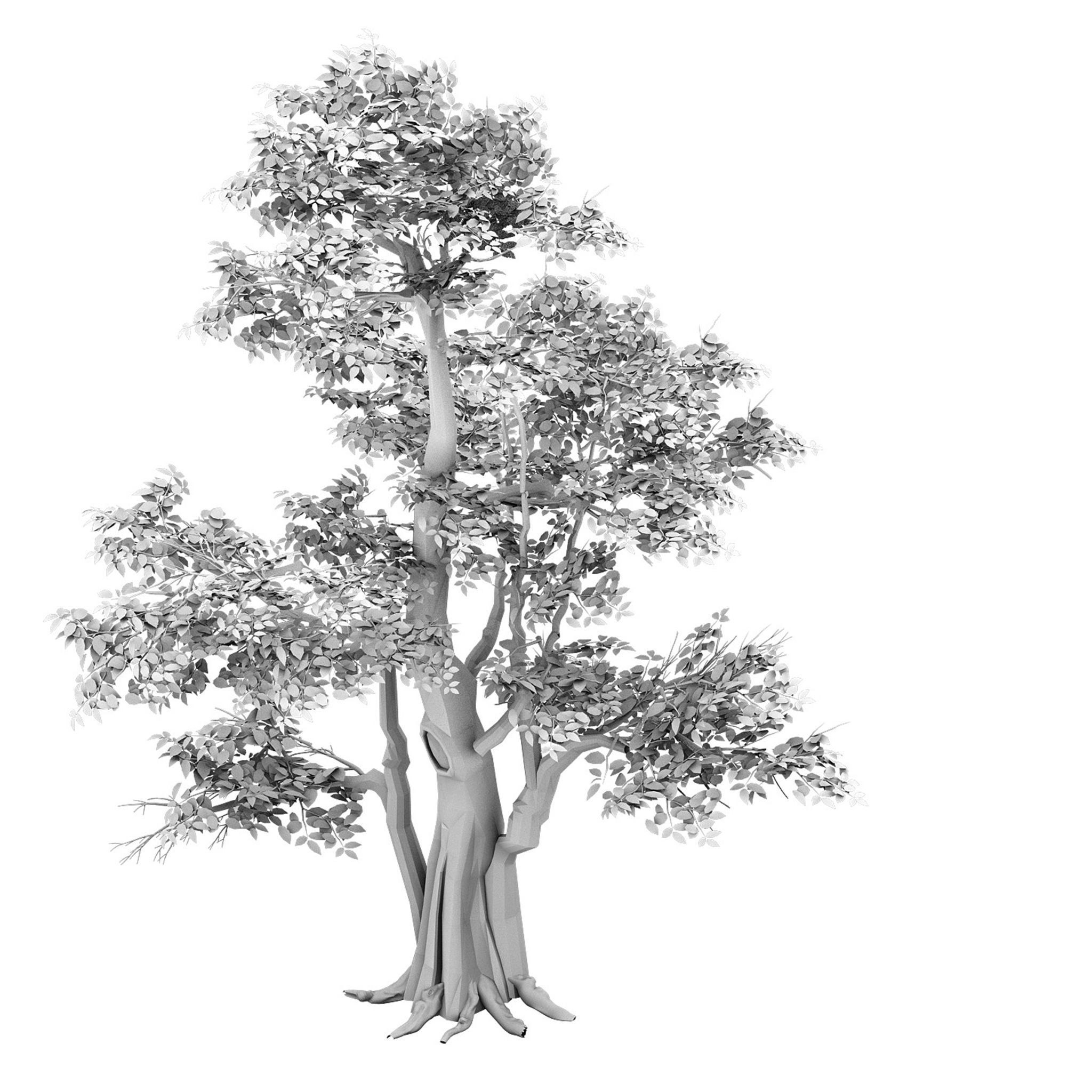 Plant - banyan tree 06 3D model_2