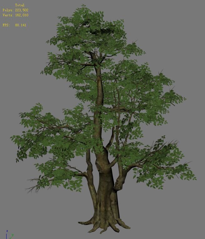 Plant - banyan tree 06 3D model_4