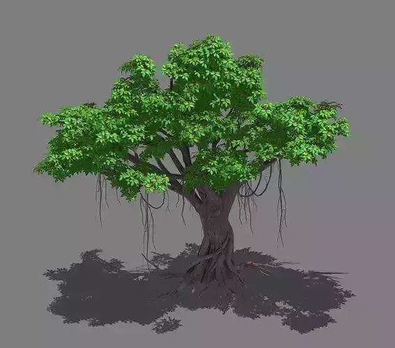 Plant - banyan tree 14 3D model