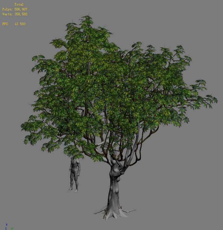 Plant - Tree 18 3D model_4