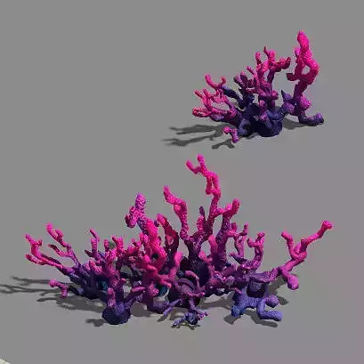 Plant - pool - aquatic plants