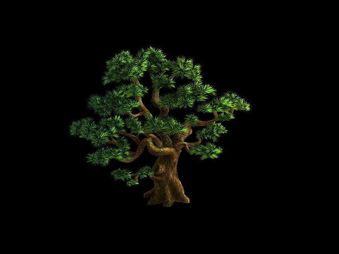 Plant - Pine 05 3D model