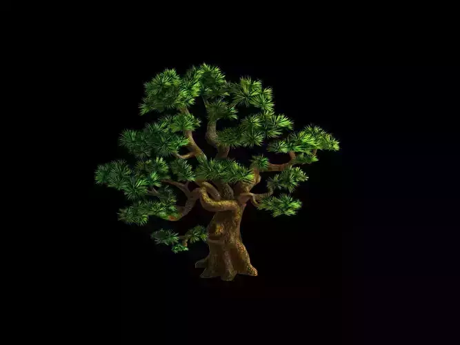 Plant - Pine 05 3D model