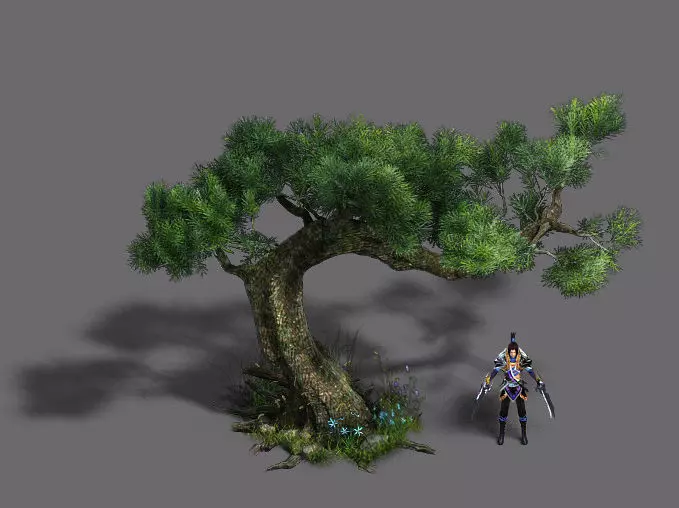 Plant - Pine 16 3D model_0