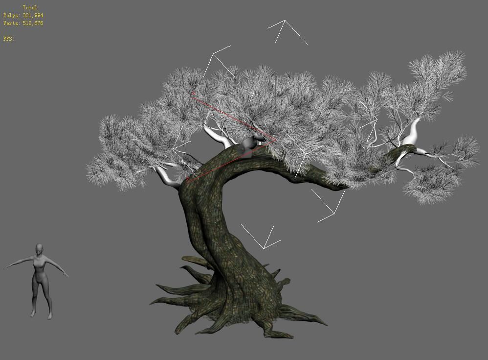 Plant - Pine 16 3D model_1