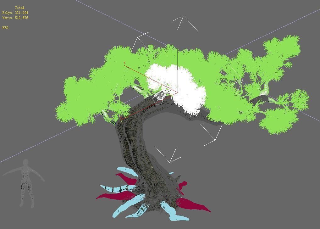 Plant - Pine 16 3D model_2