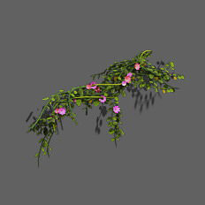 Plant - Vines 16 3D model_1