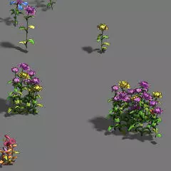 Plant - flowers 3D model_0