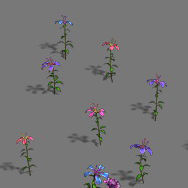 Plant - flowers 3D model_1