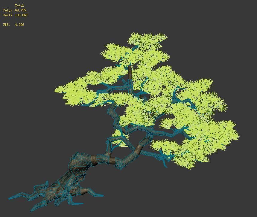 Plant - welcoming pine 01 3D model_2