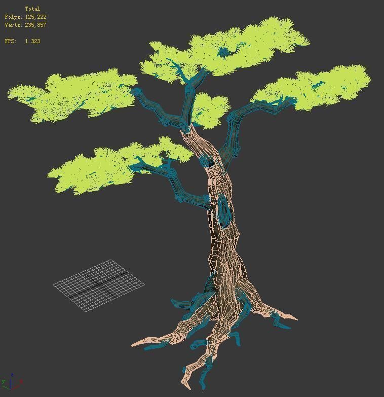 Plant - welcoming pine 02 3D model_2