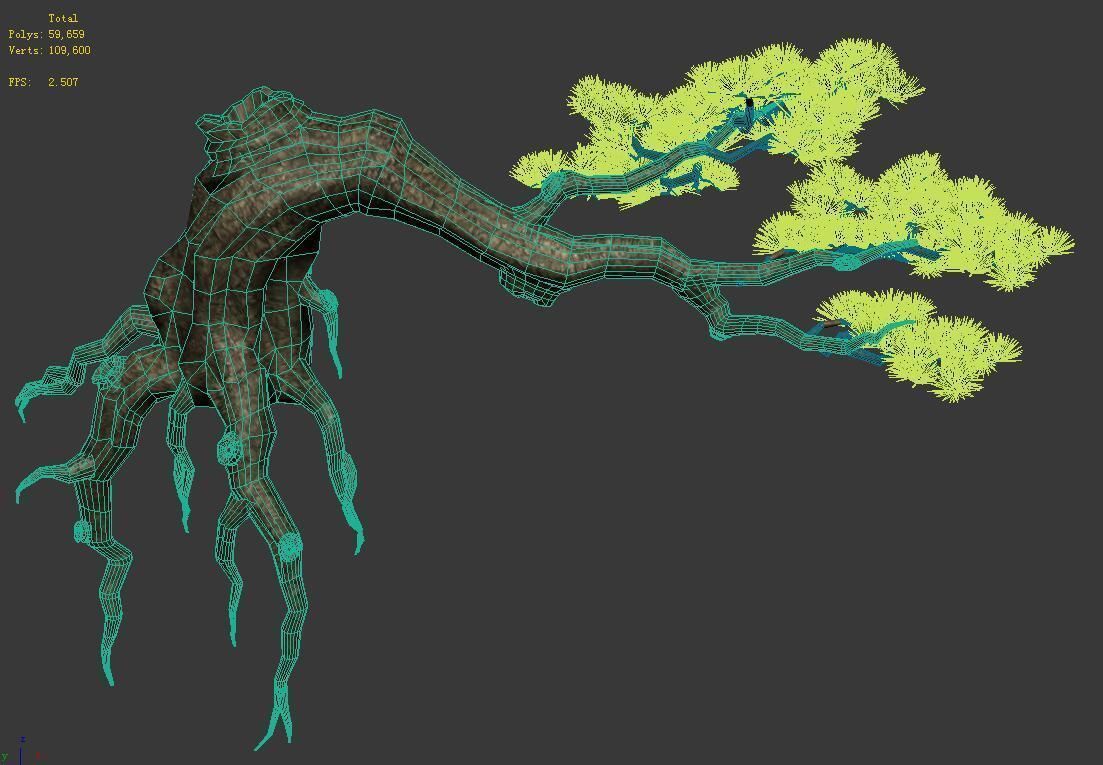 Plant - welcoming pine 03 3D model_2