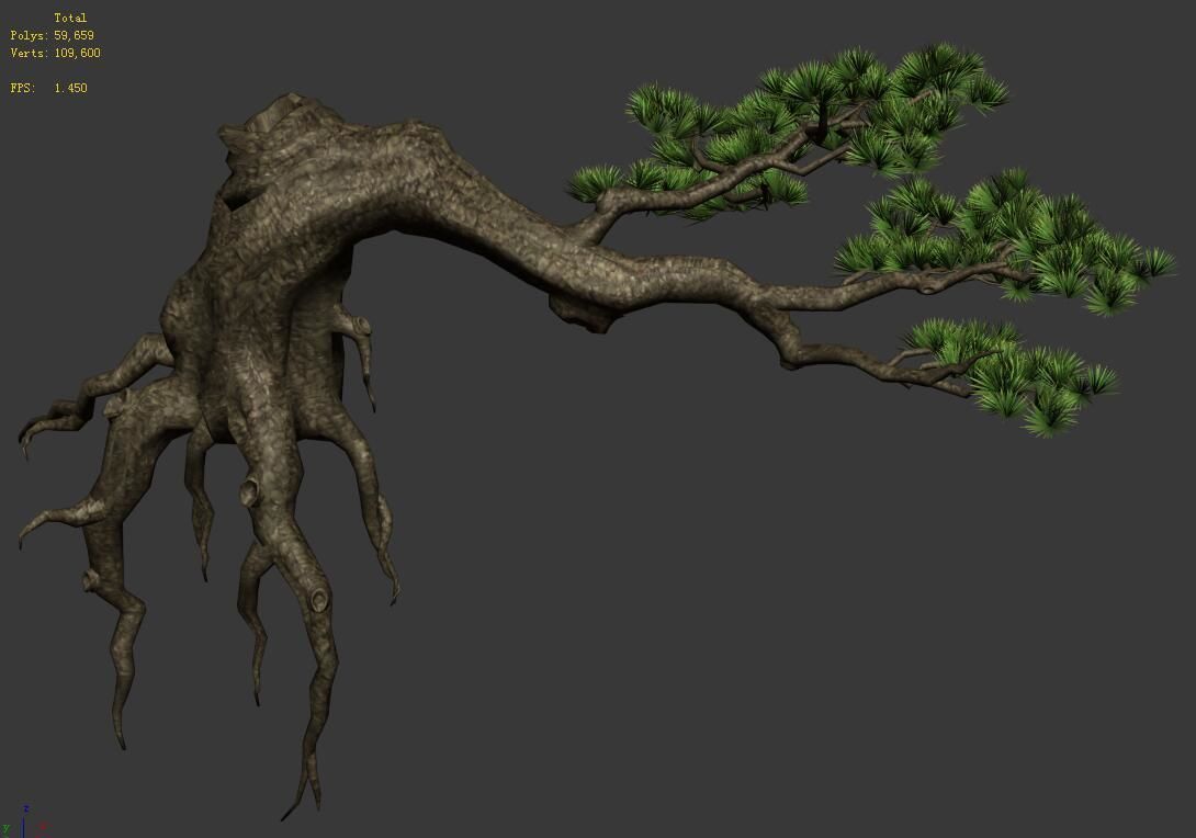 Plant - welcoming pine 03 3D model_1