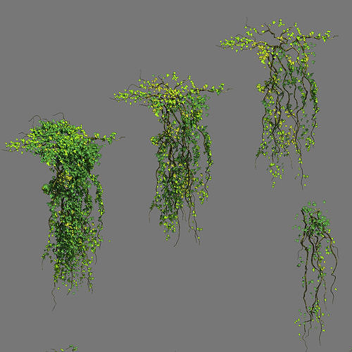 Decoration - vines 3D model