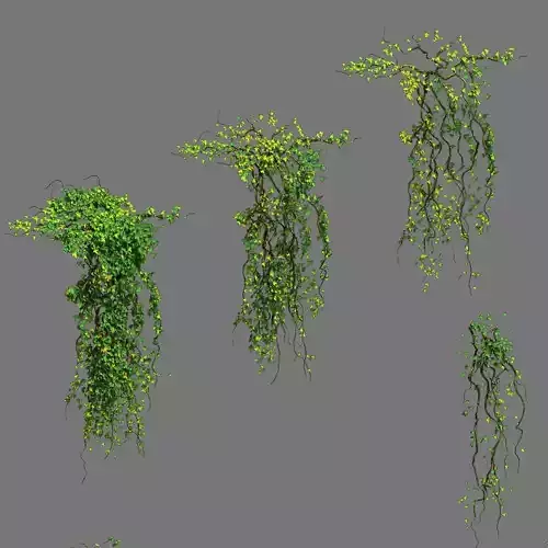 Decoration - vines 3D model
