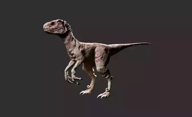 Raptor textued high poly