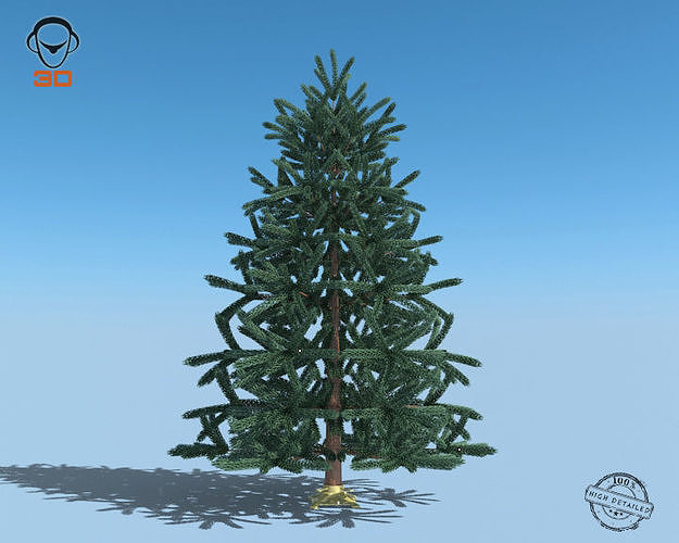 Christmas Tree 3D model