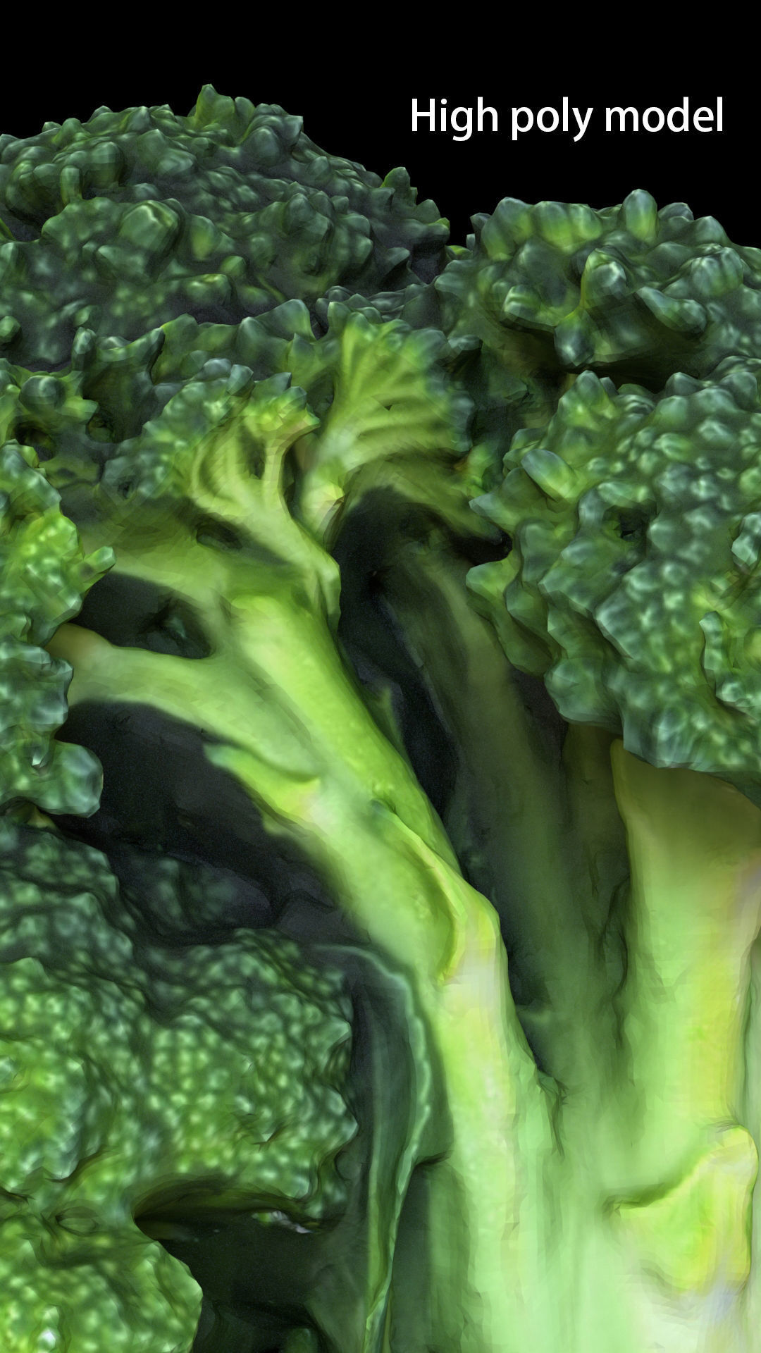 Broccoli low and high poly 3D model_3