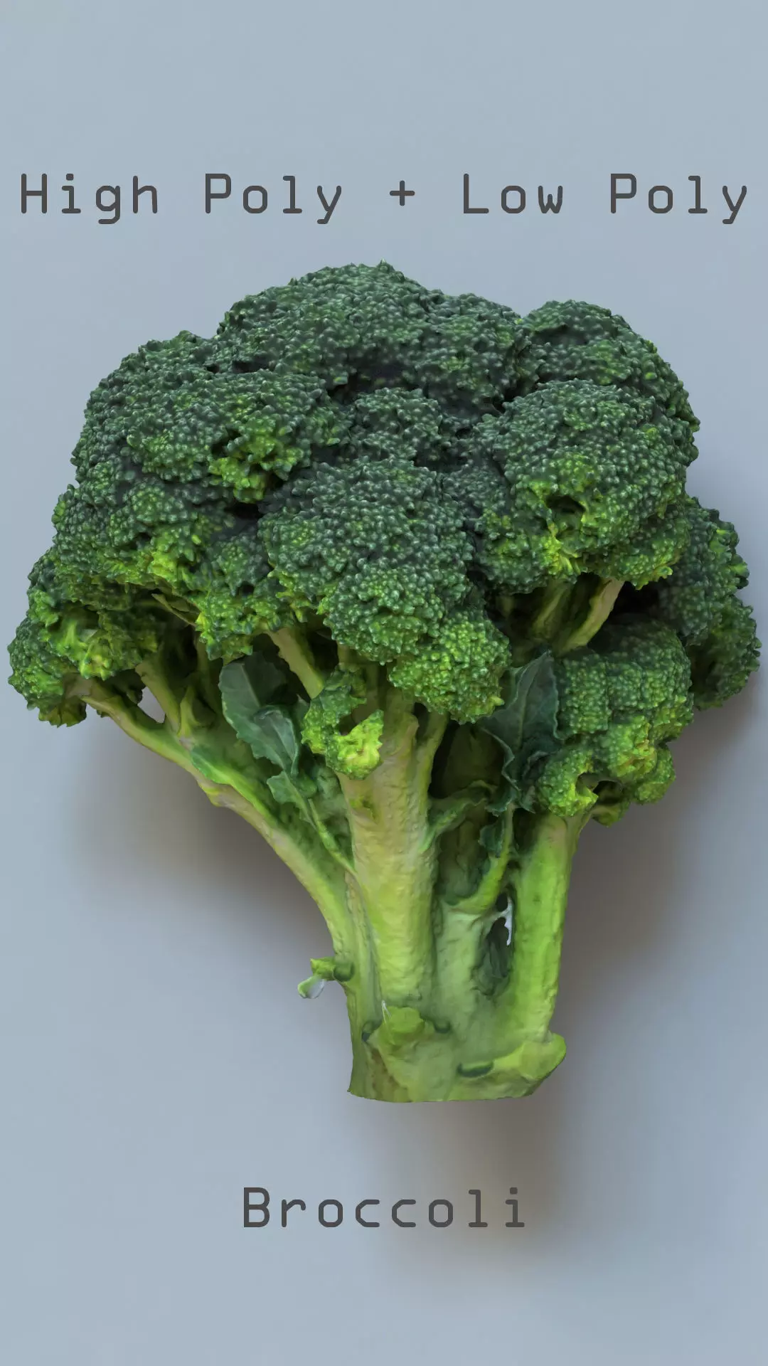 Broccoli low and high poly 3D model_0