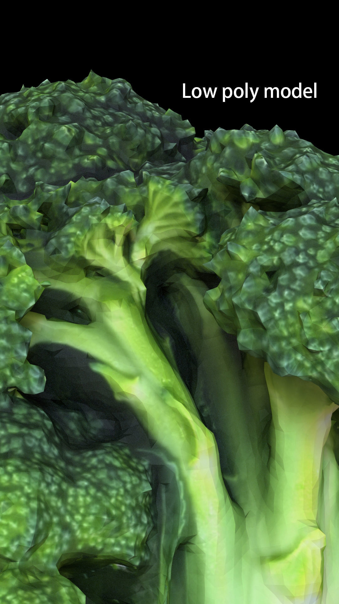 Broccoli low and high poly 3D model_4
