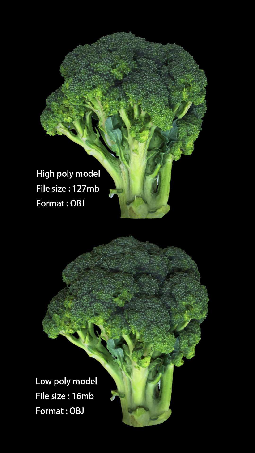 Broccoli low and high poly 3D model_2
