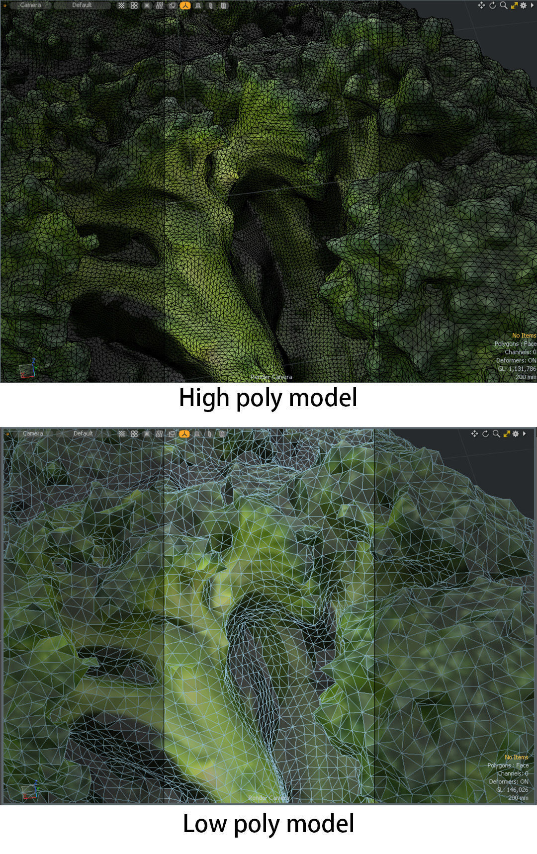 Broccoli low and high poly 3D model_5