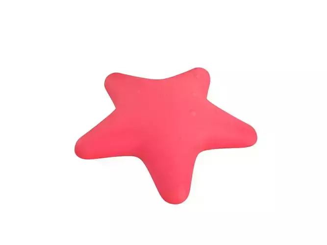 Starfish star shaped toy 3D model