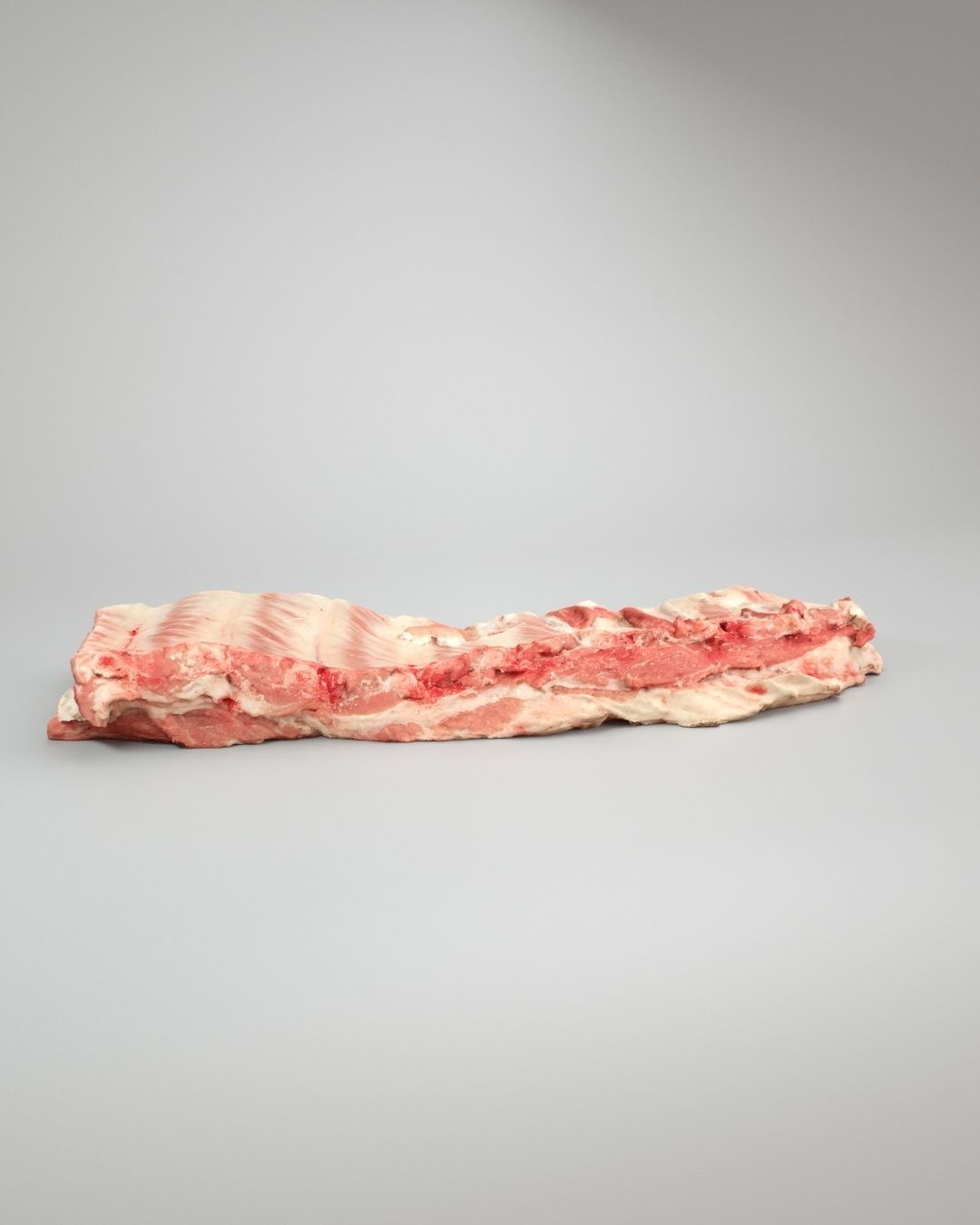 Raw Pork Ribs Low-poly 3D model_2