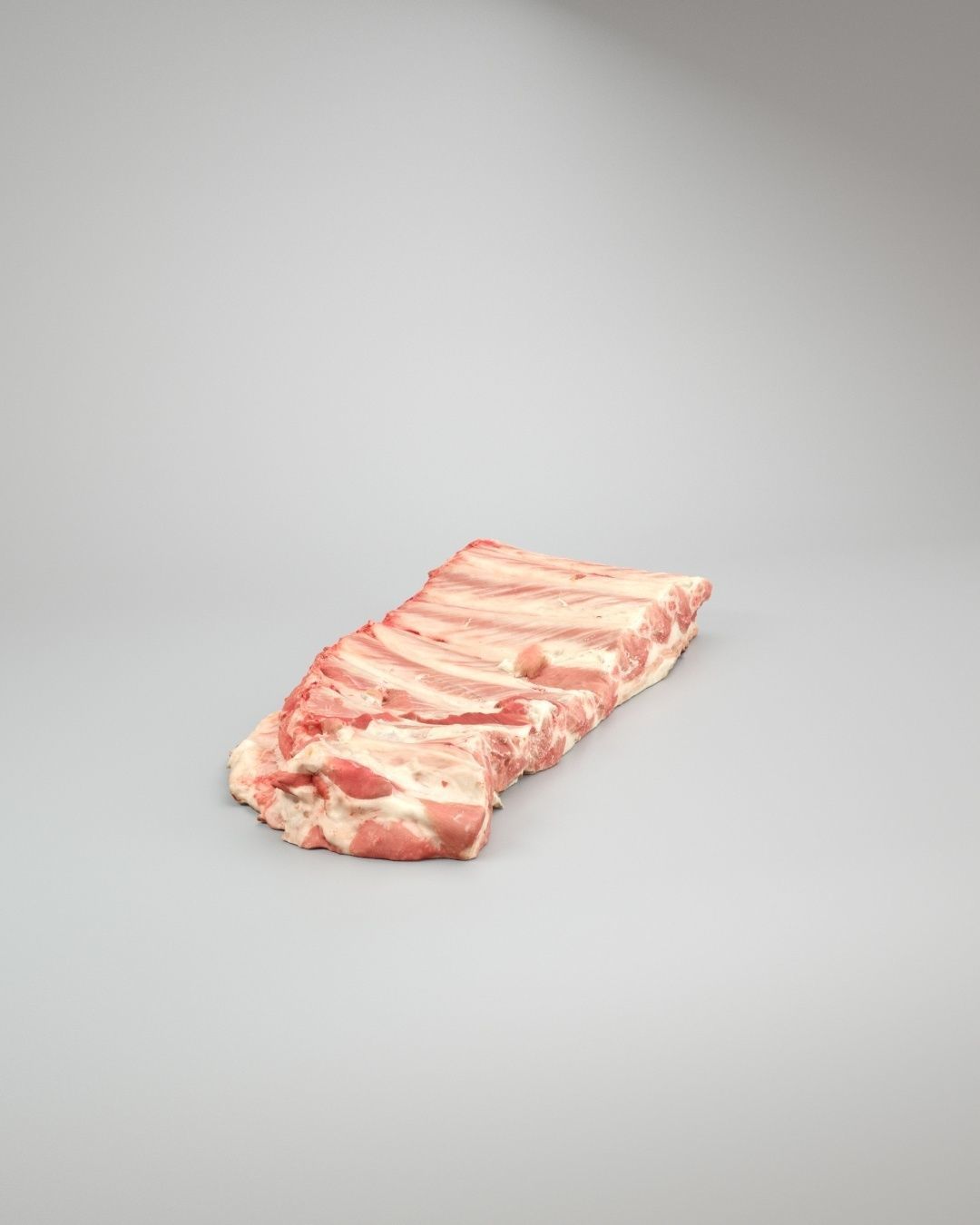 Raw Pork Ribs Low-poly 3D model_4
