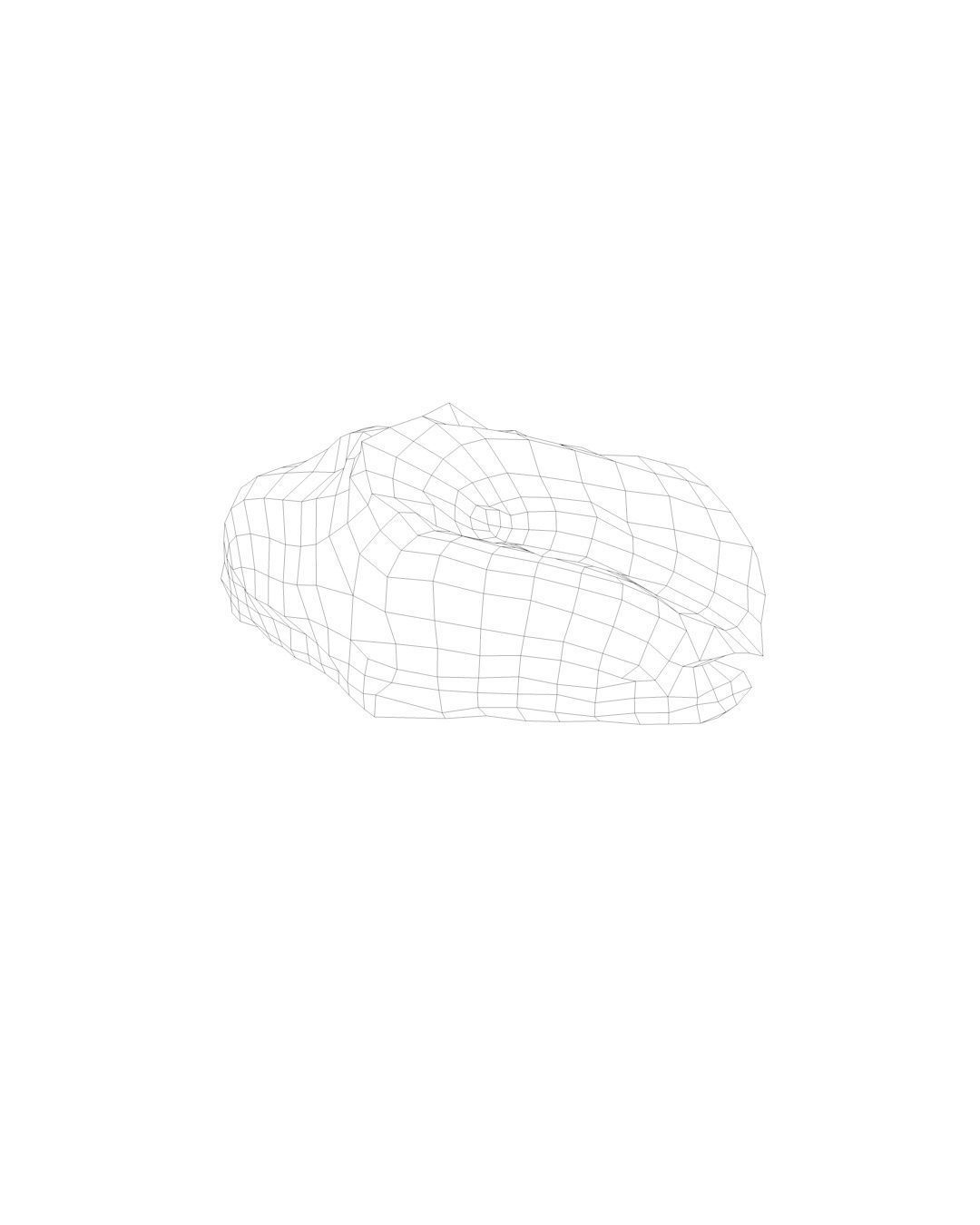 Raw Pork Meat Low-poly 3D model_6