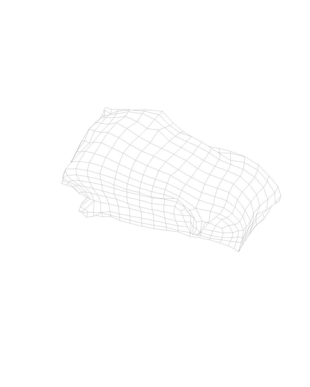 Raw Pork Meat Low-poly 3D model_8
