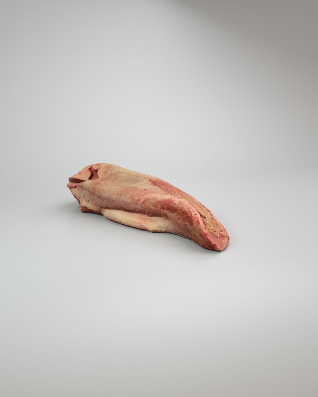 Raw Pig Tongue Low-poly 3D model_2