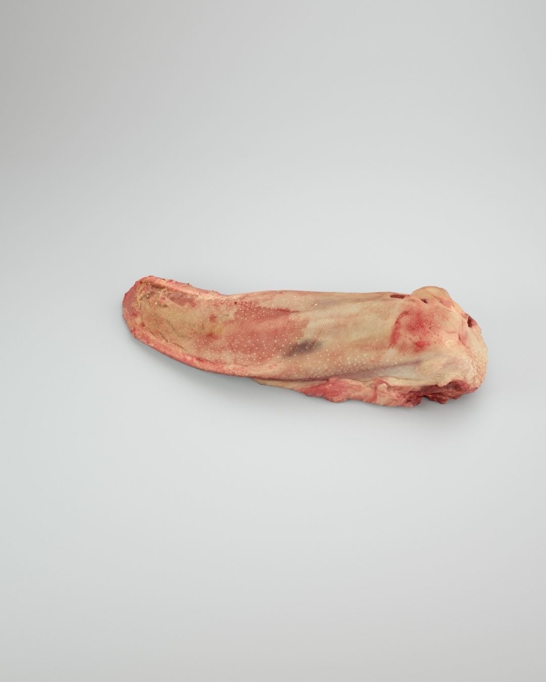 Raw Pig Tongue Low-poly 3D model_4