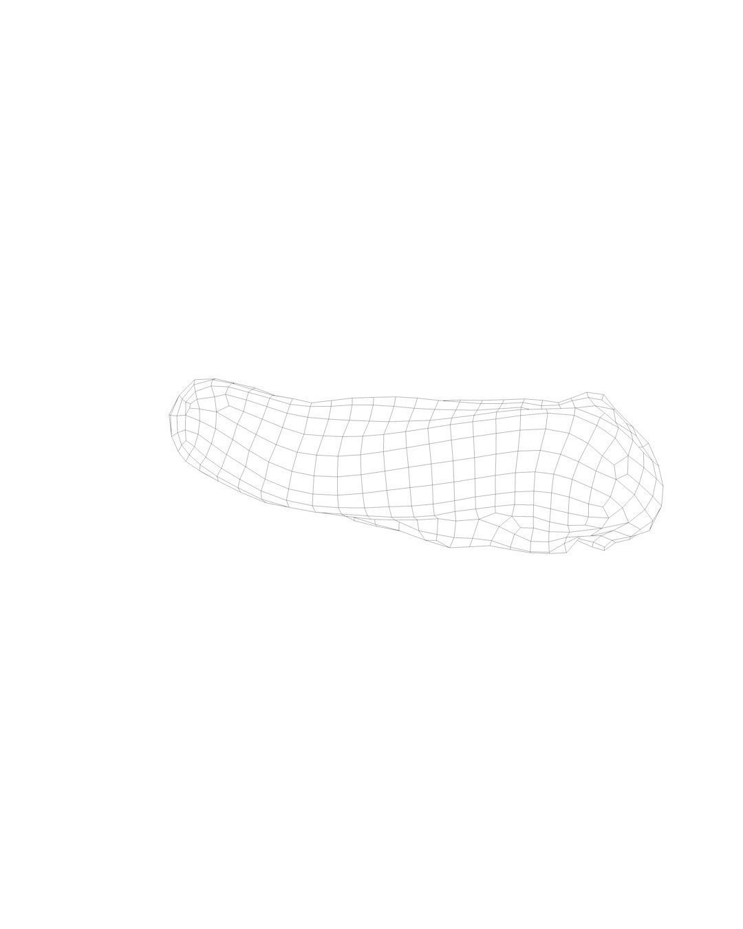 Raw Pig Tongue Low-poly 3D model_8