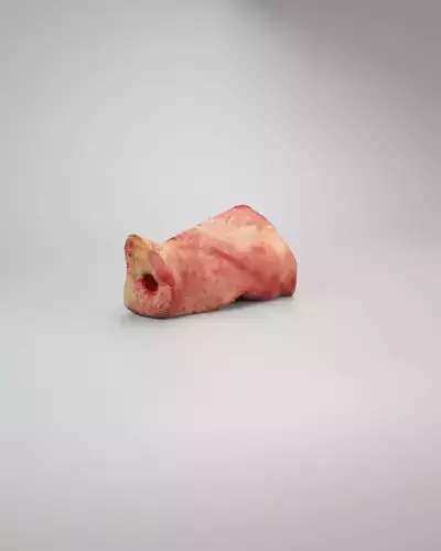 Pig Nose Split on Half