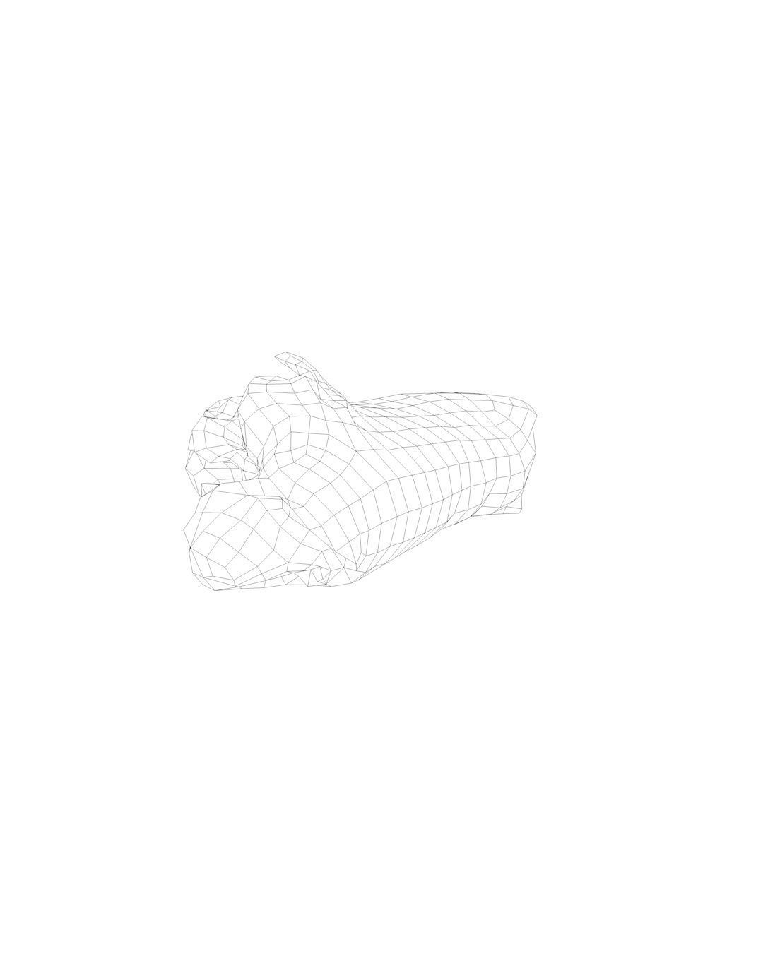 Raw Pig Leg Part Low-poly 3D model_5