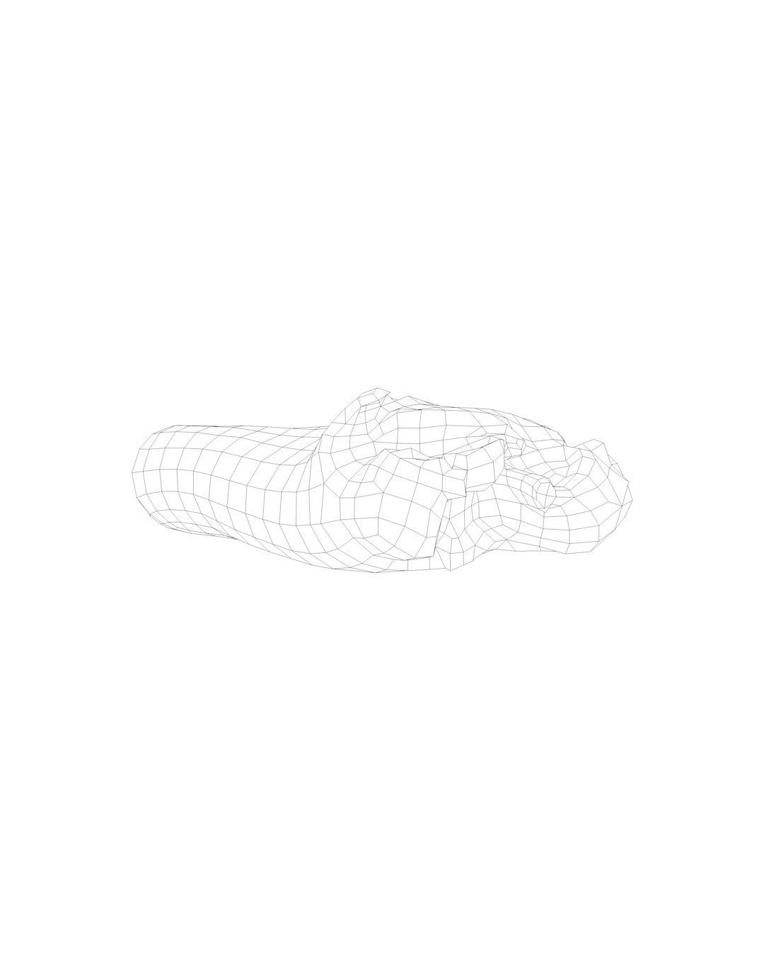 Raw Pig Leg Part Low-poly 3D model_6