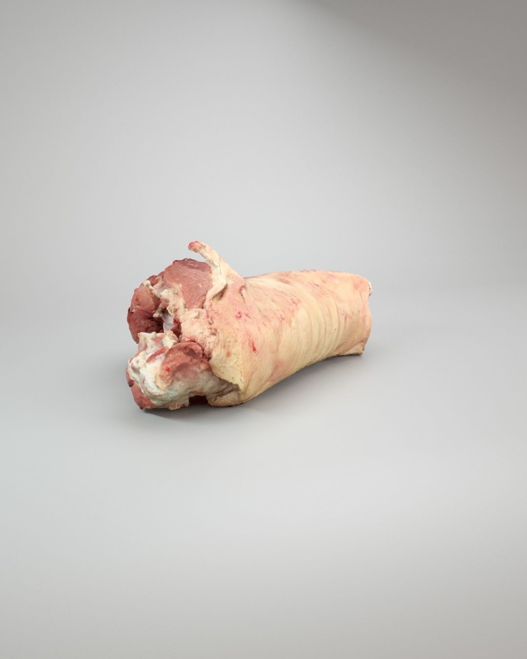 Raw Pig Leg Part Low-poly 3D model_3