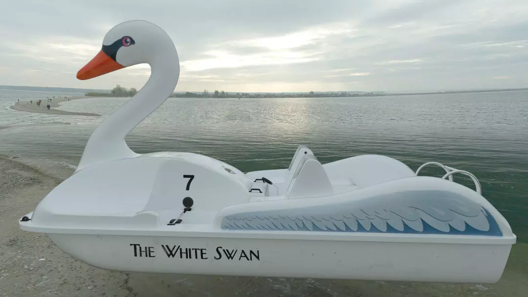 3D Swan Pedal Boat 3D model_0