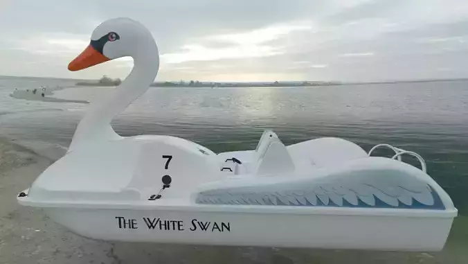 3D Swan Pedal Boat