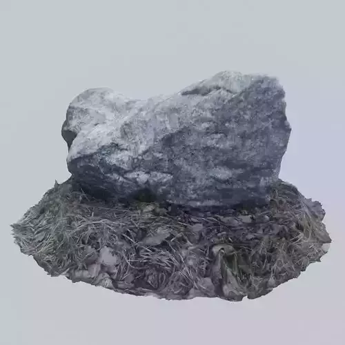 3D Scanned Stone 3