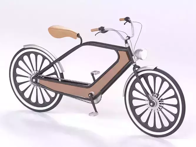 Bicycle electric bike